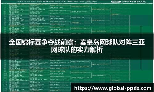 pp电子APP